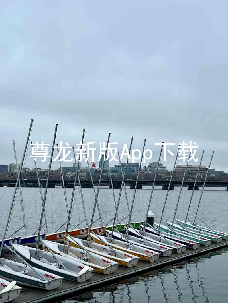 尊龙新版App下载